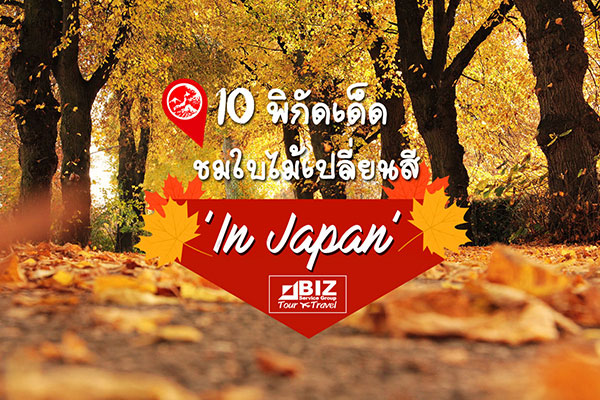 ประเทศญี่ปุ่นเป็นประเทศยอดฮิตสำหรับการชมใบไม้เปลี่ยนสีในเอเชียอันดับต้นๆเลยทีเดียว ในทุกๆปีมีนักท่องเที่ยวหลั่งไหลกันเข้าไปชมใบไม้เปลี่ยนสีทั่วประเทศญี่ปุ่น ช่วงฤดูใบไม้เปลี่ยนสีของญี่ปุ่น อยู่ในเดือนตุลาคมไปจนถึงเดือนธันวาคมของทุกปี